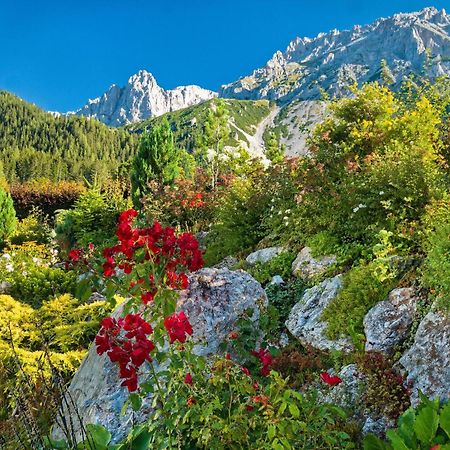 Pension Stoffenbauer Ramsau am Dachstein Dış mekan fotoğraf