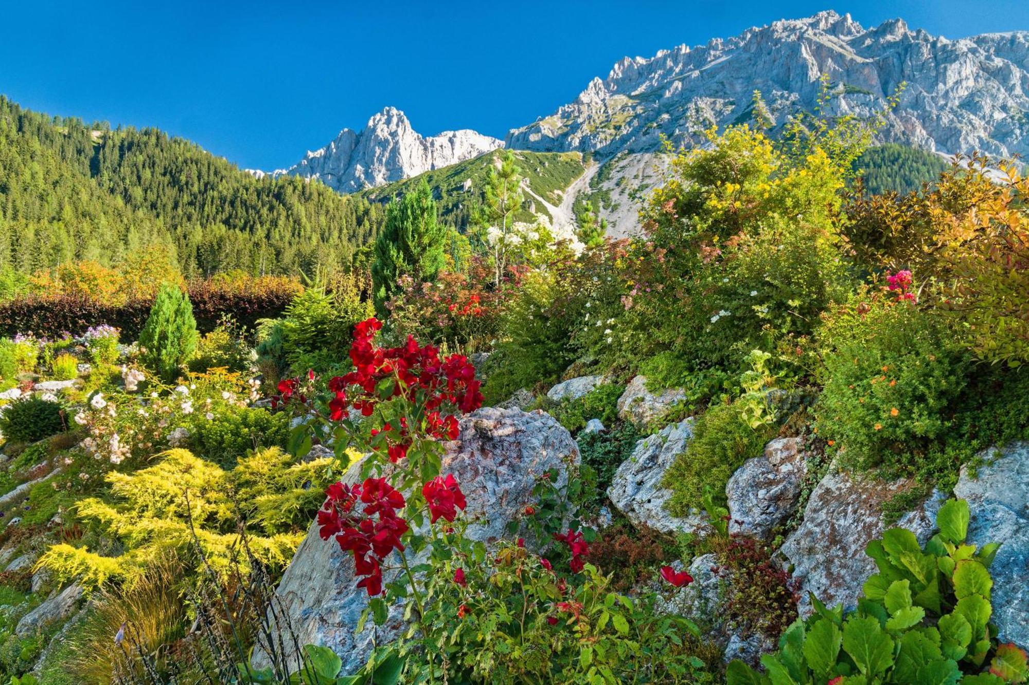 Pension Stoffenbauer Ramsau am Dachstein Dış mekan fotoğraf