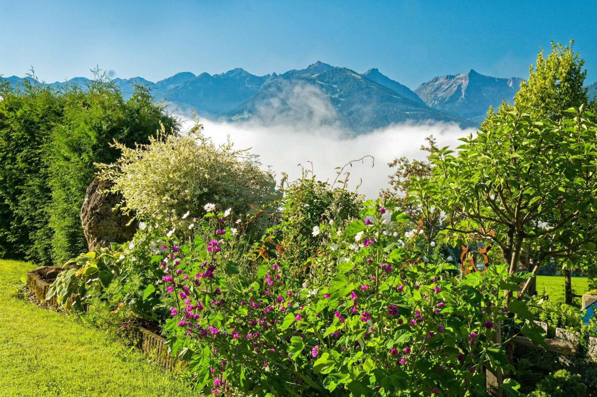 Pension Stoffenbauer Ramsau am Dachstein Dış mekan fotoğraf