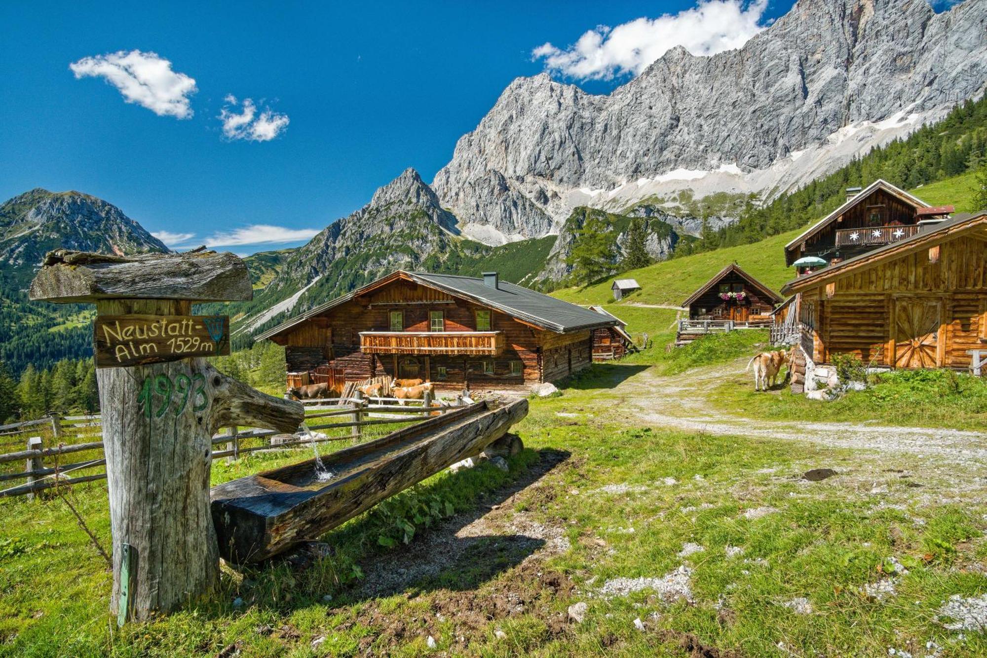 Pension Stoffenbauer Ramsau am Dachstein Dış mekan fotoğraf
