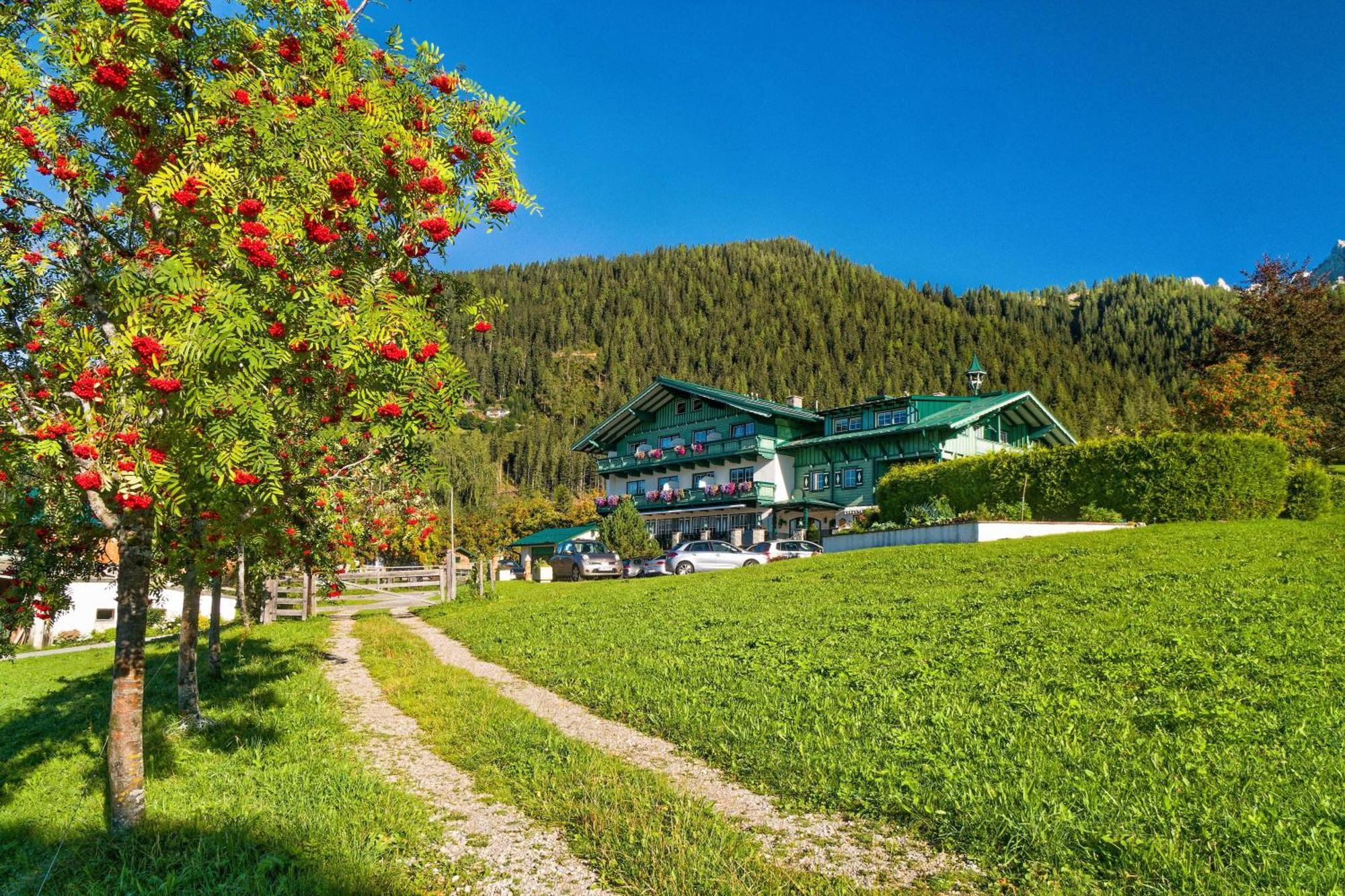 Pension Stoffenbauer Ramsau am Dachstein Dış mekan fotoğraf