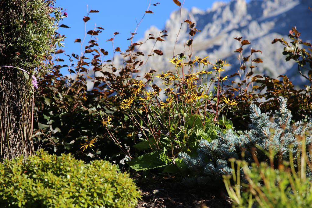 Pension Stoffenbauer Ramsau am Dachstein Dış mekan fotoğraf